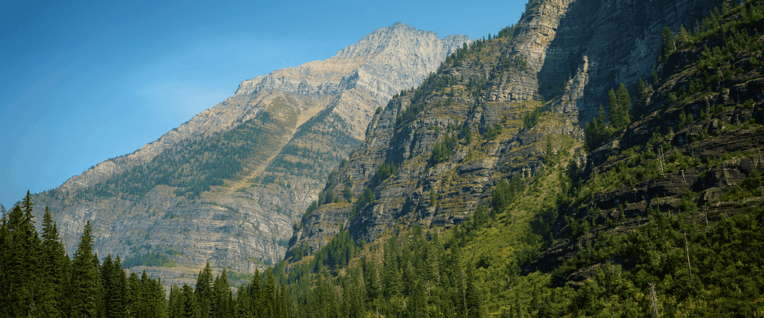 WordPress blog image - T2Tpt5-Bike_HannahE_FeaturedImg.png