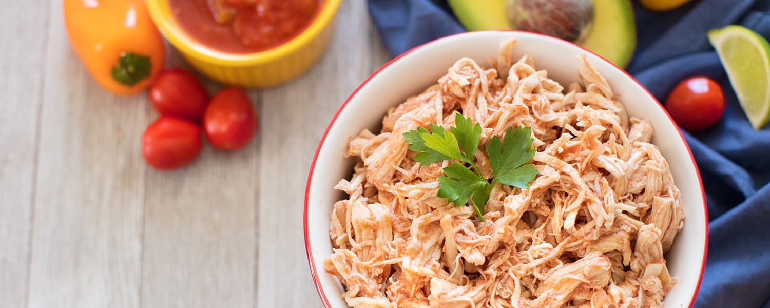 WordPress blog image - salsa-chicken-header.jpg